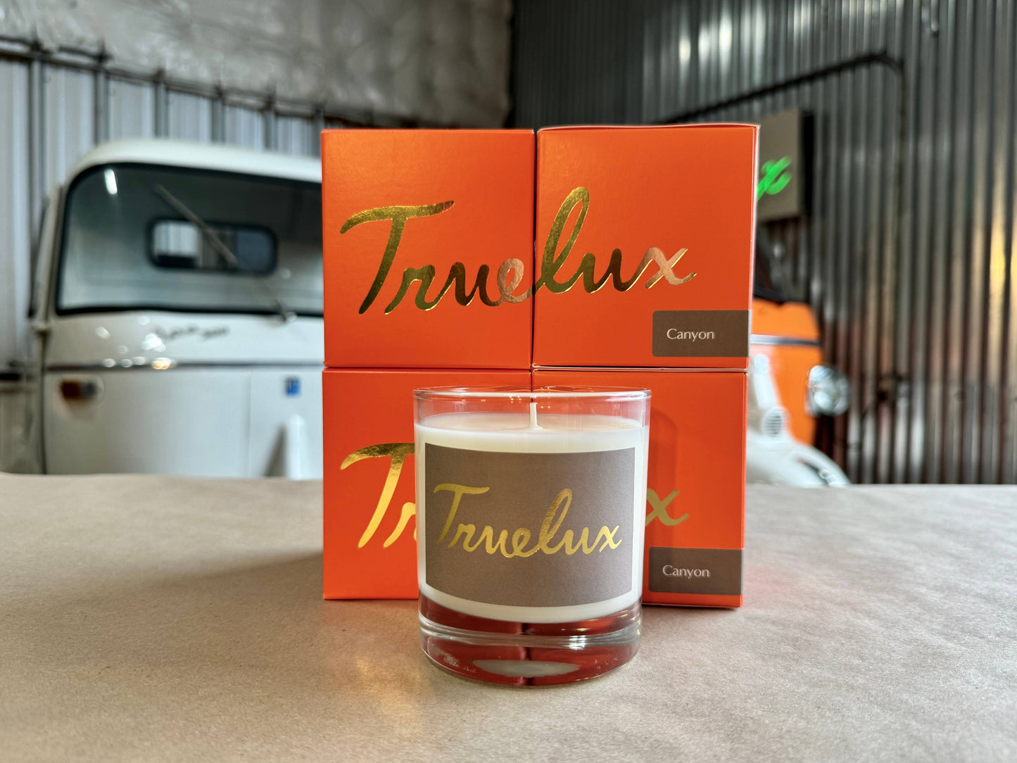 Canyon Soy Lotion Candle (Sage + Cactus Musk)