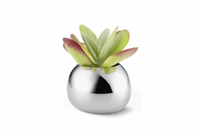 Bella Vases: L