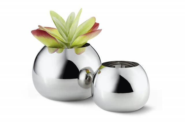 Bella Vases: L