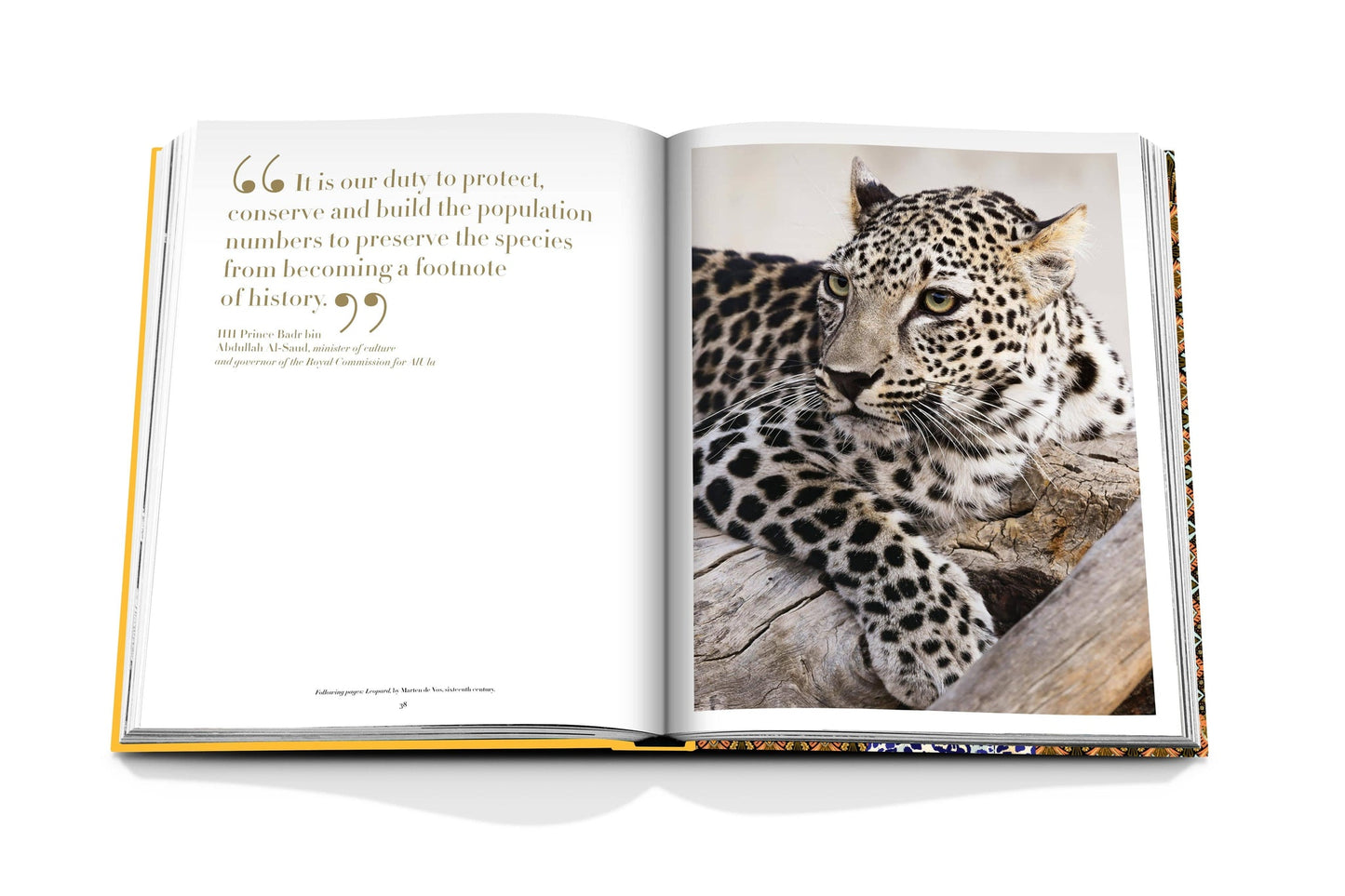 Arabian Leopard - Book