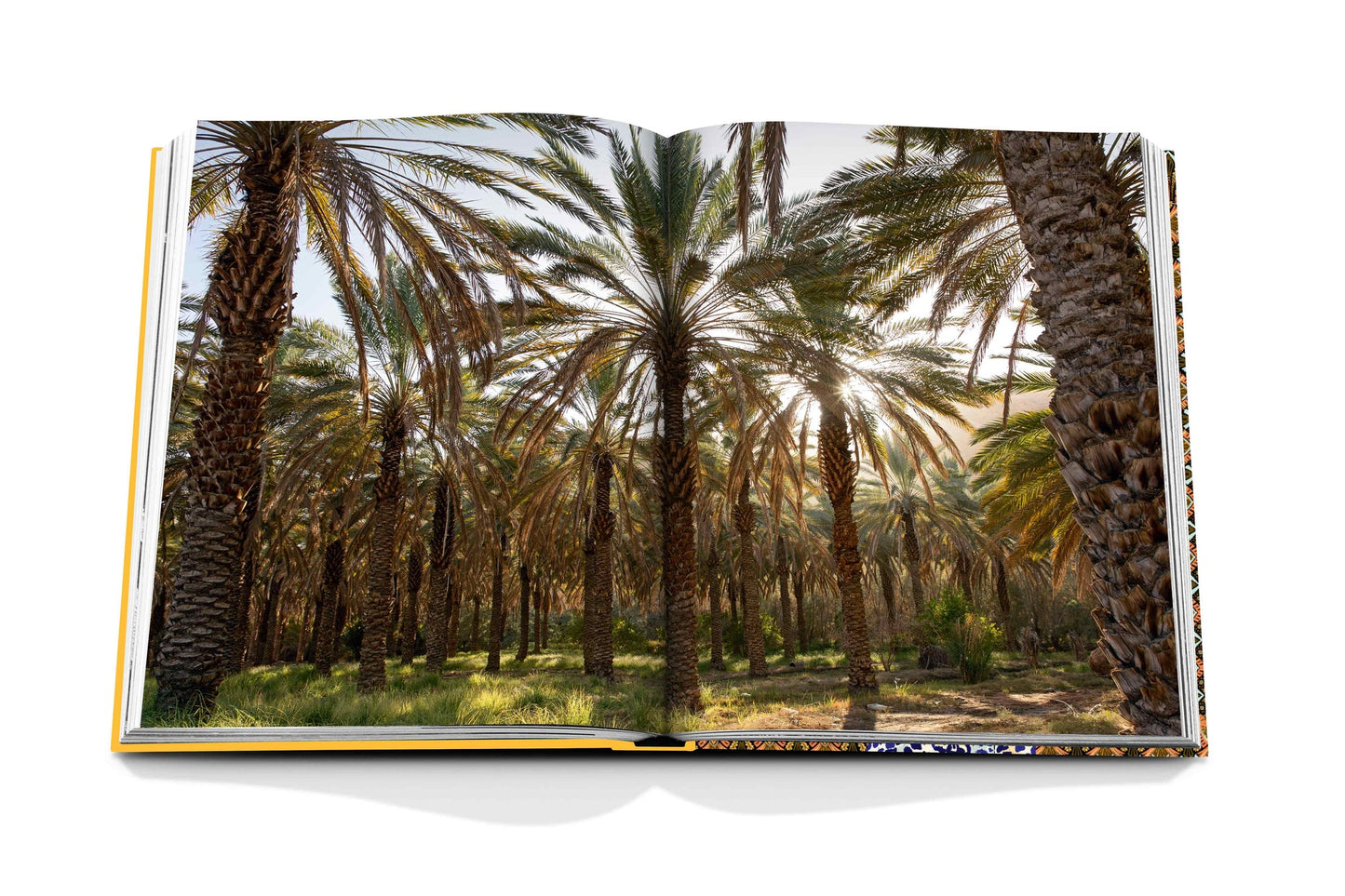 Arabian Leopard - Book