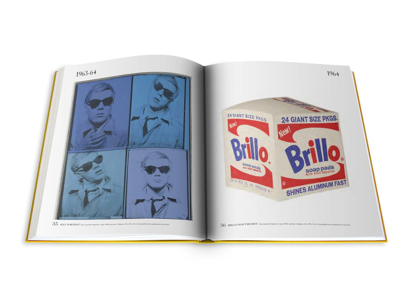 Andy Warhol: The Impossible Collection - Book