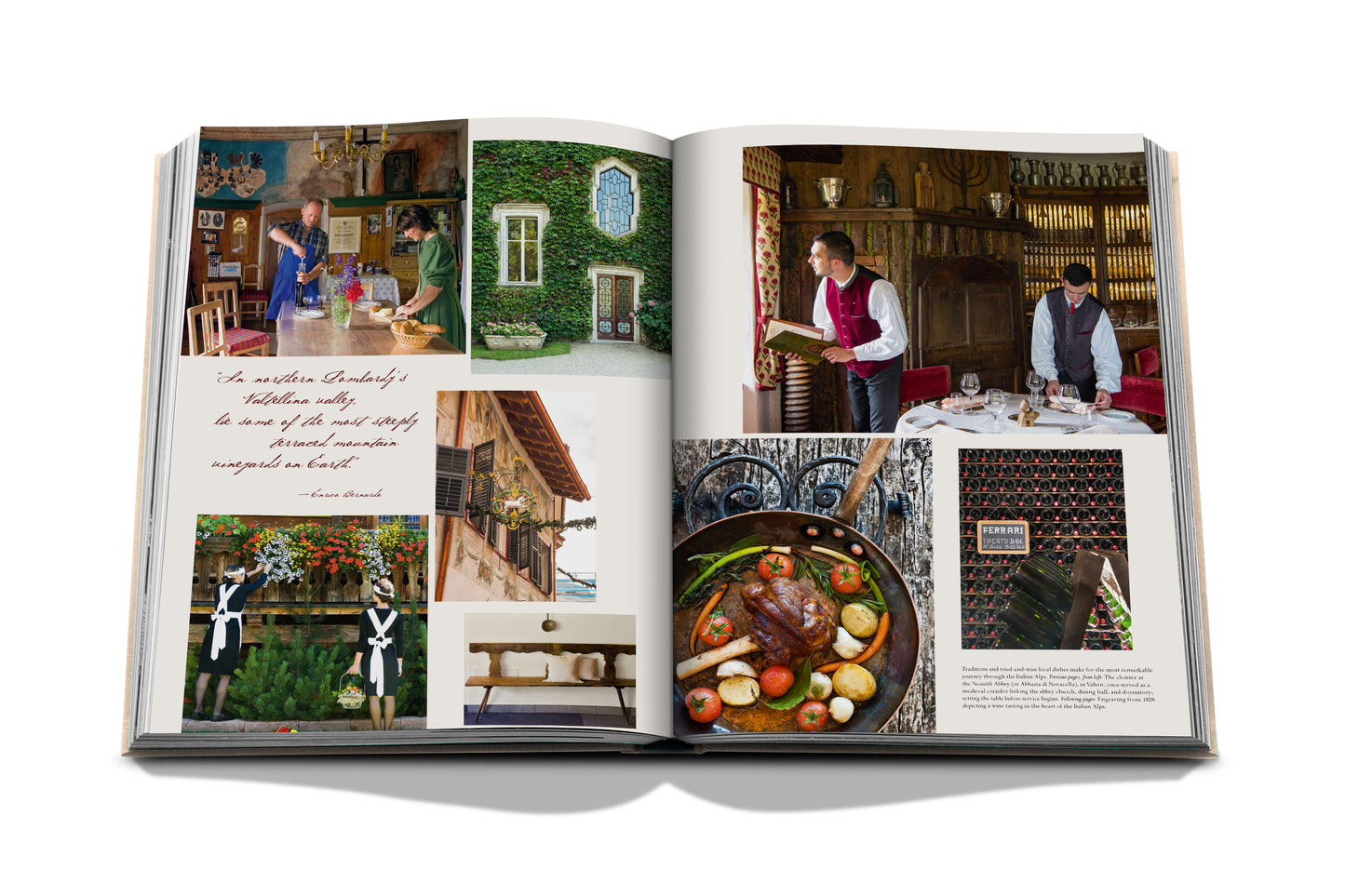 Wine & Travel Italy - Book