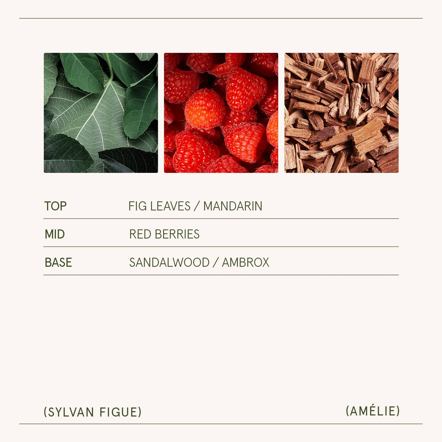 Scented Candle - Sylvan Figue - 11oz | La Jolie Muse