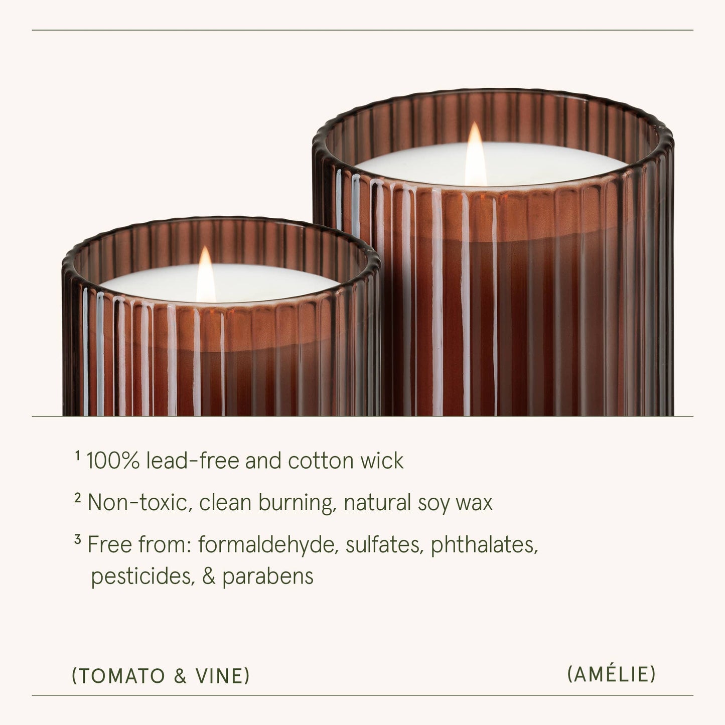 Scented Candle - Tomato & Vine - 11oz | La Jolie Muse