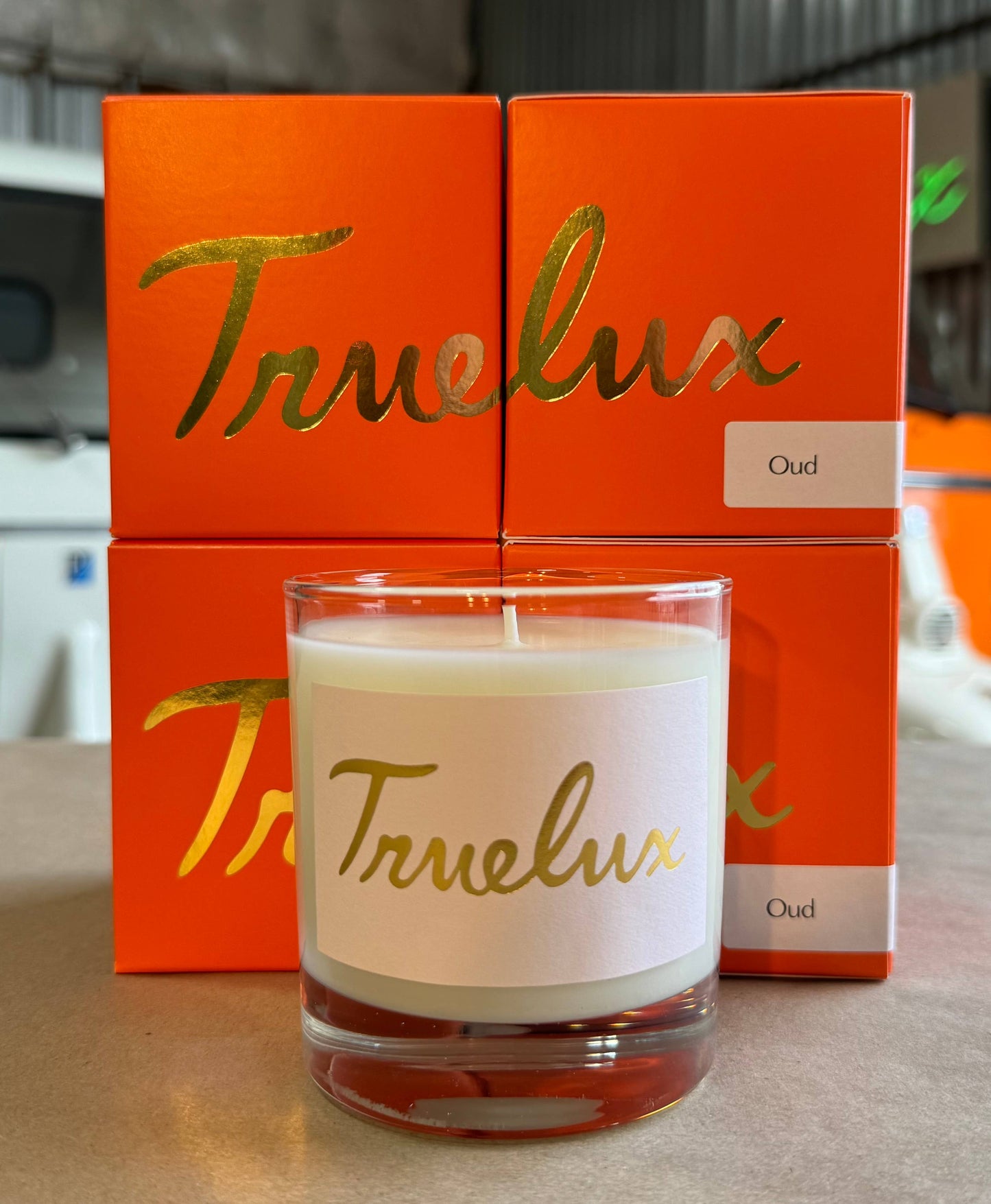 Oud Soy Lotion Candle (Exotic Wood + Smoky Earth)