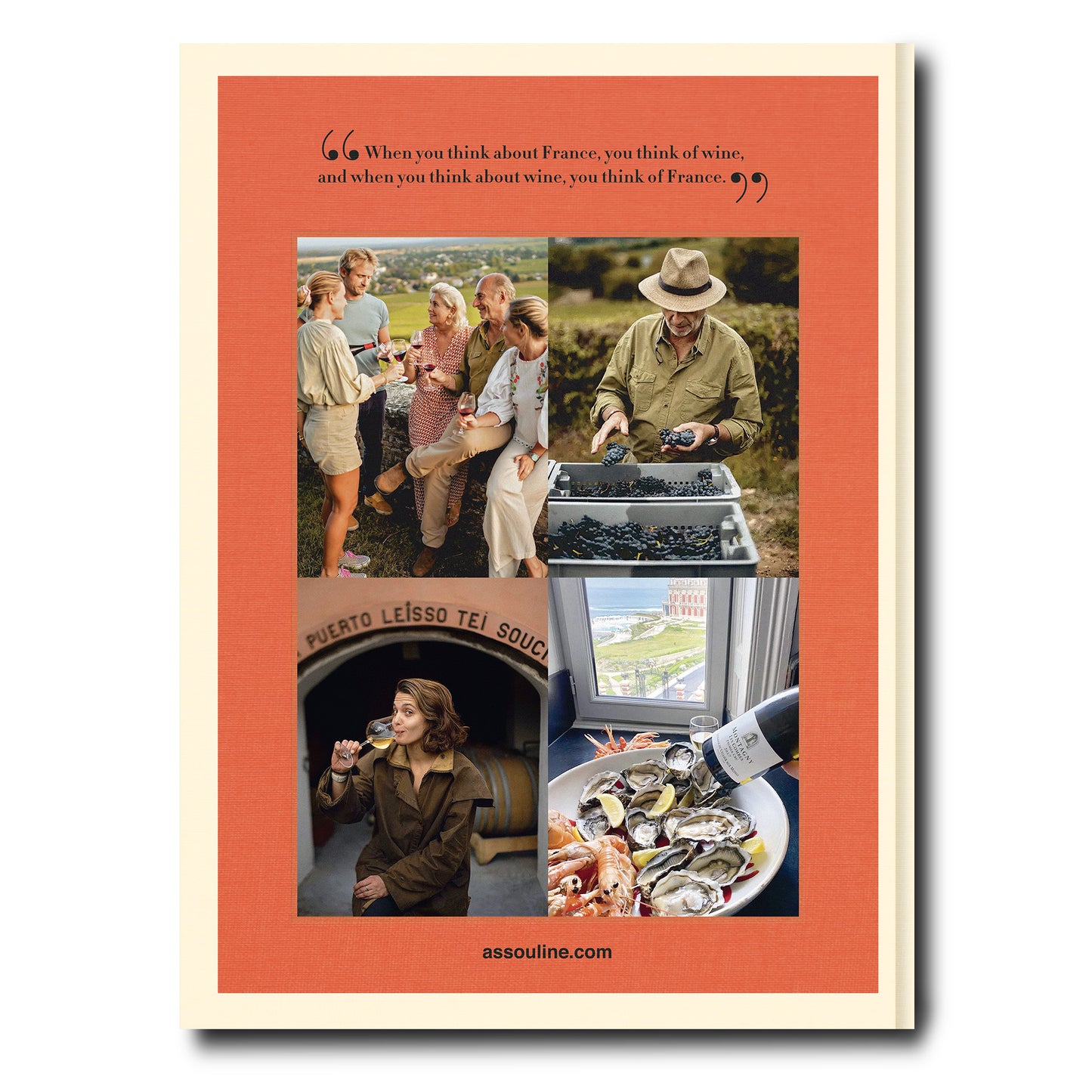 Wine & Travel France - Book