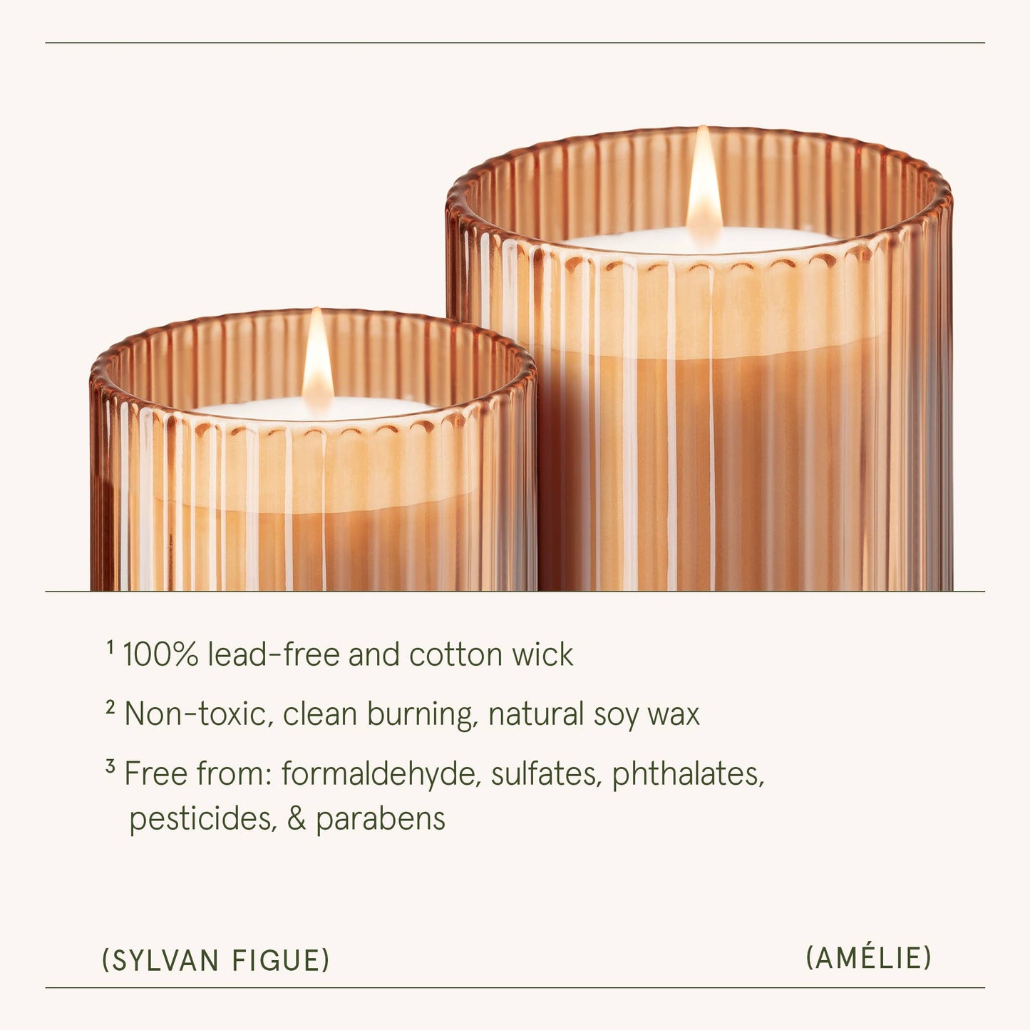 Scented Candle - Sylvan Figue - 11oz | La Jolie Muse