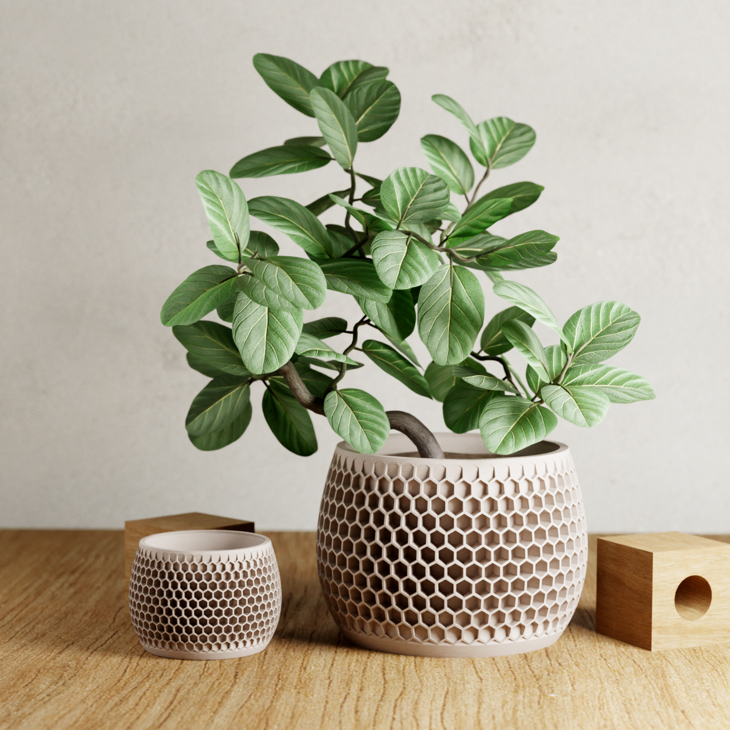 Modern Geometric Planter | Honeycomb Collection