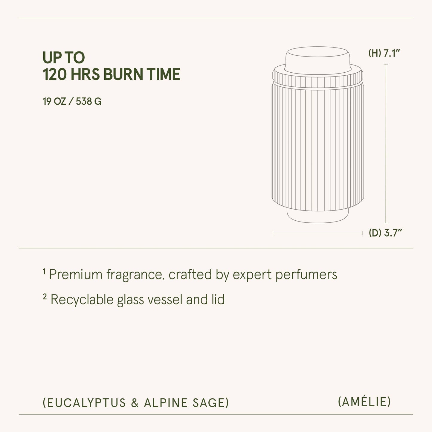 Scented Candle - Eucalyptus & Alpine Sage - 19oz | LJM