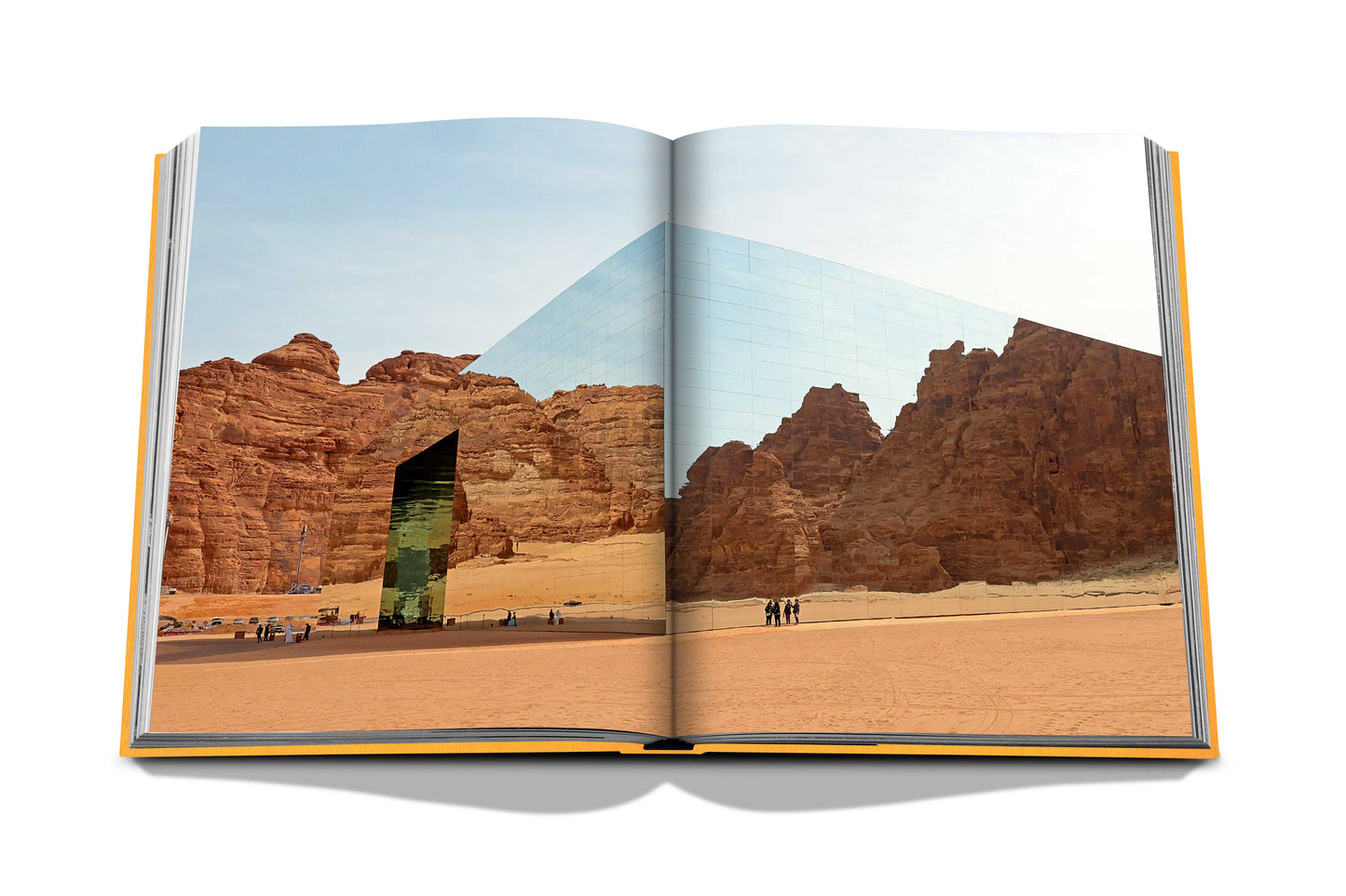 Alula Ever - Book