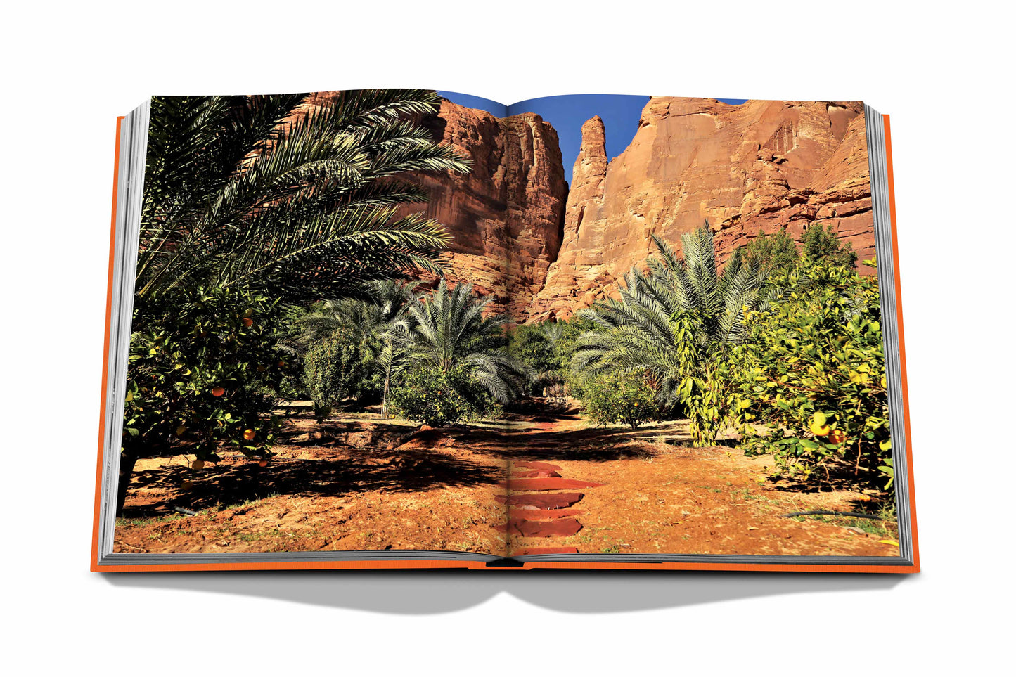 Alula Ever - Book