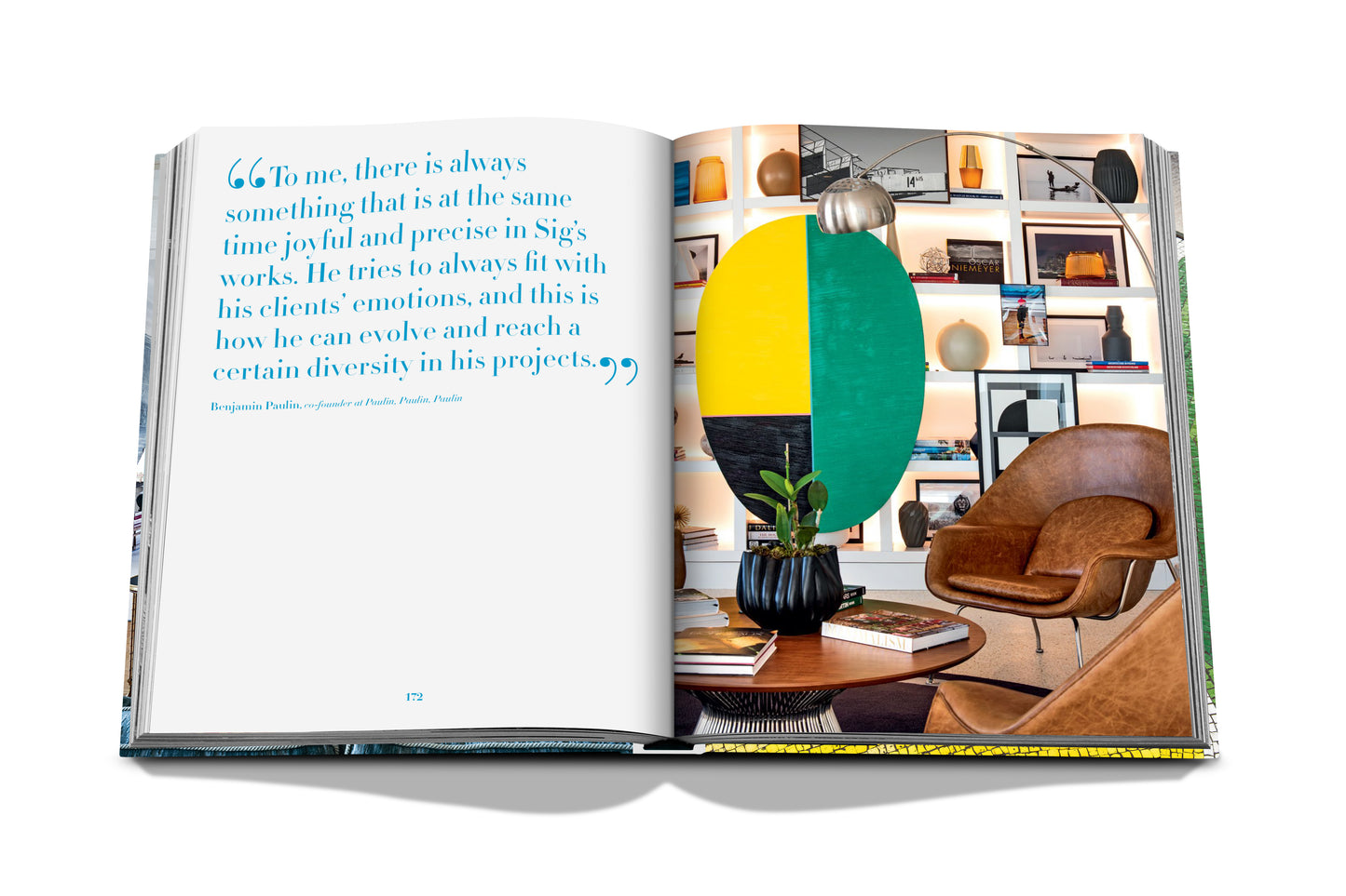 Sir Bergamin: Art Life - Book