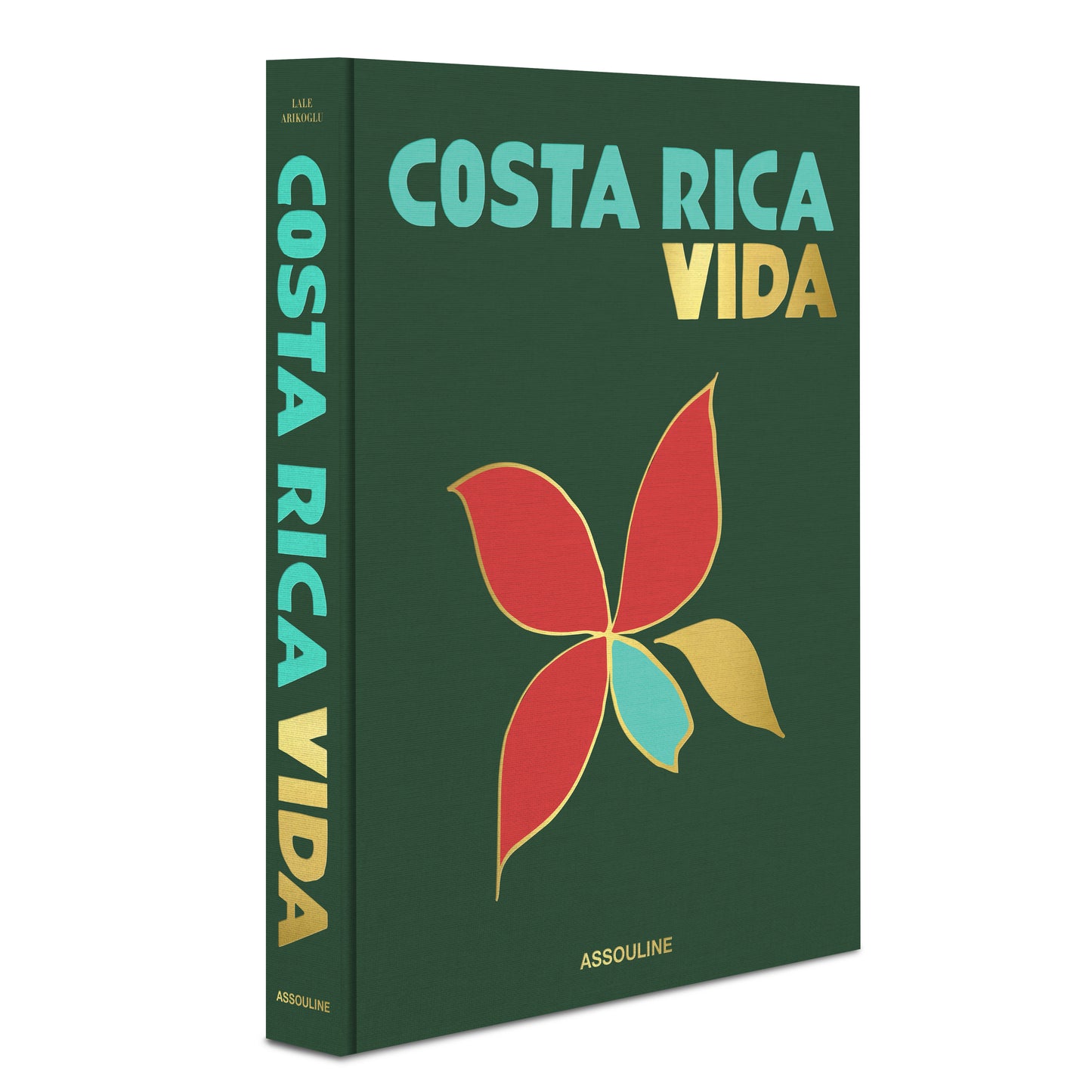 Costa Rica Vida - Book