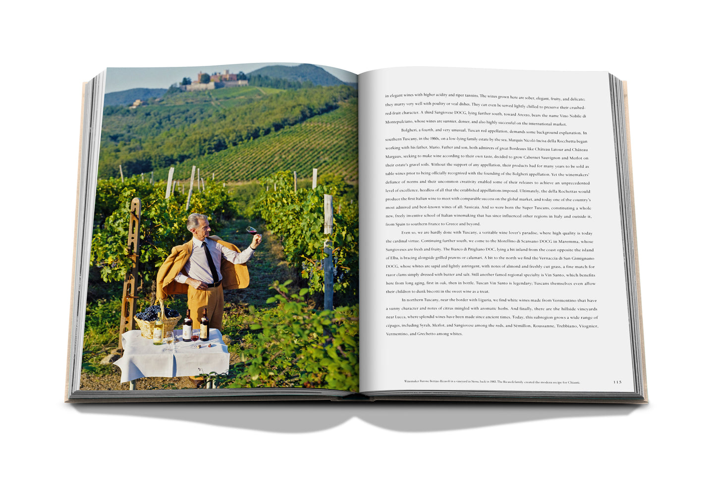 Wine & Travel Italy - Book