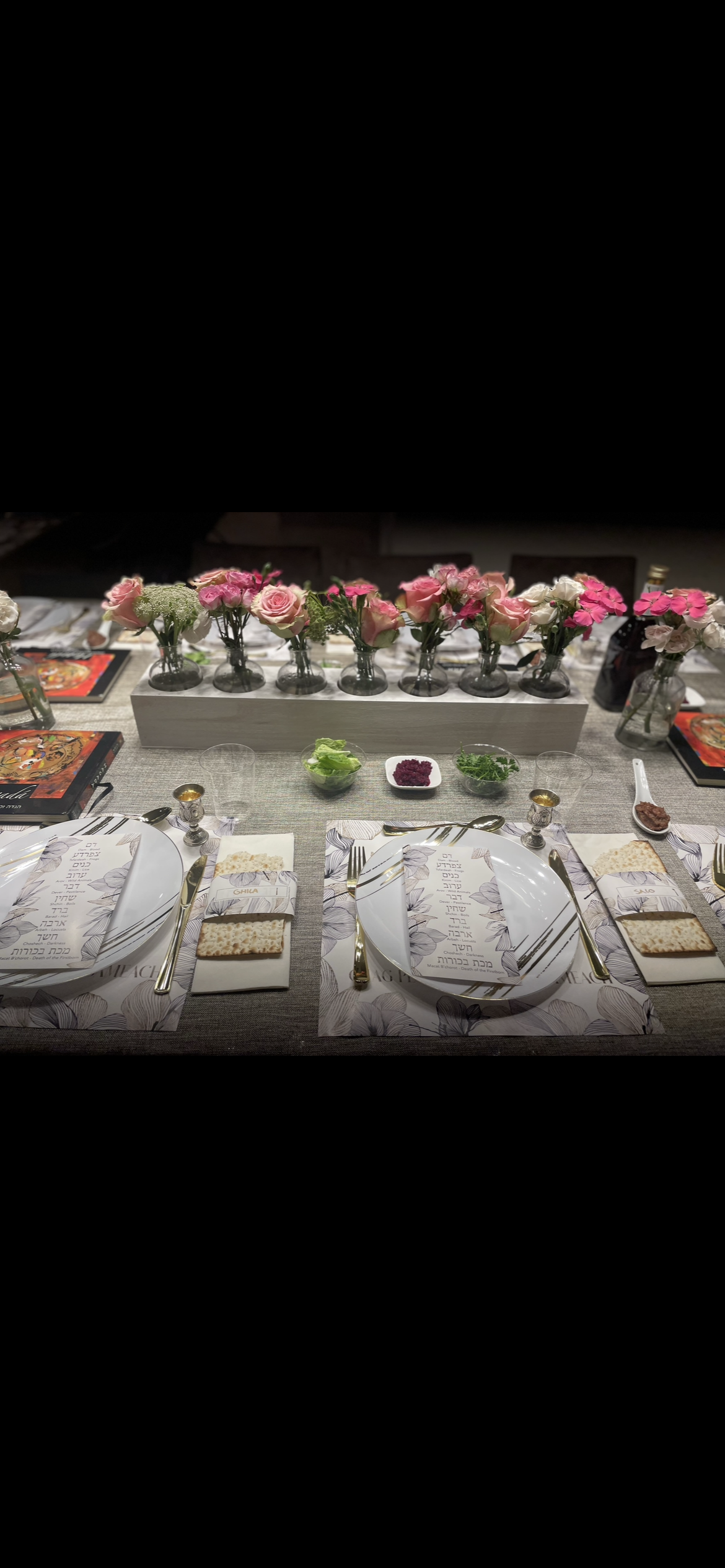 PASSOVER CHAG SAMEACH PAPER PLACEMAT