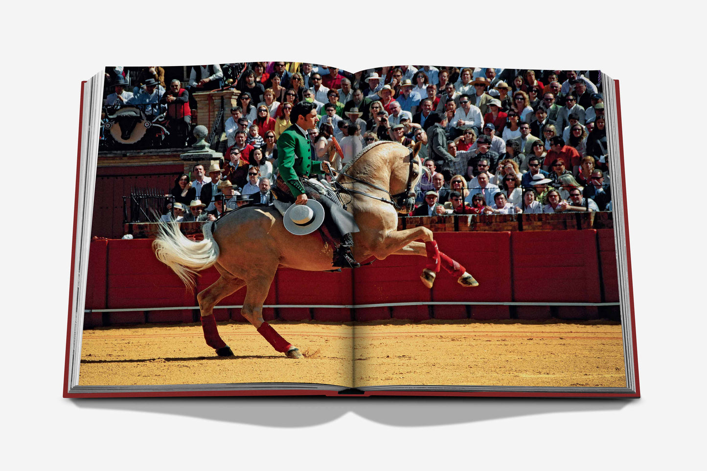 Sevilla Arte - Book