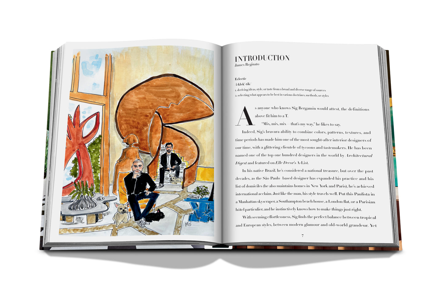 Sir Bergamin: Eclectic - Book
