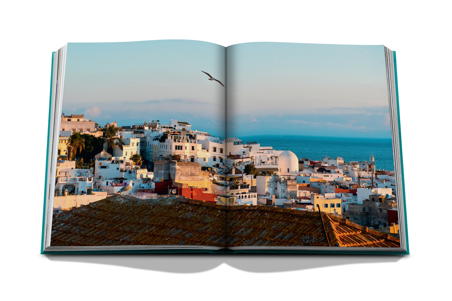 Tangier Tangerine - Book