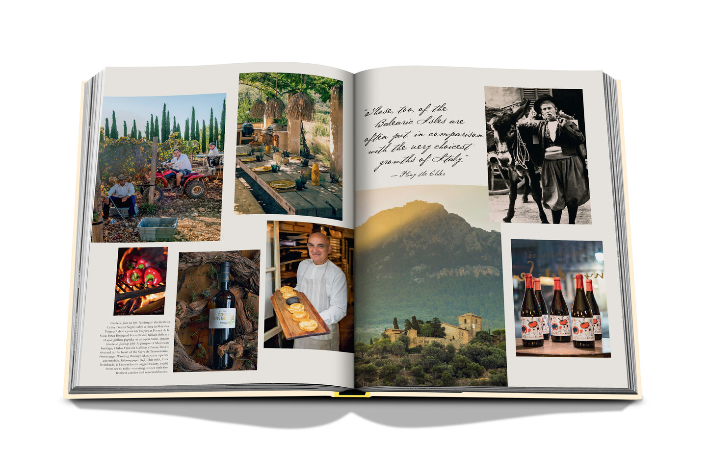Wine & Travel Mediterranean Islands - Book