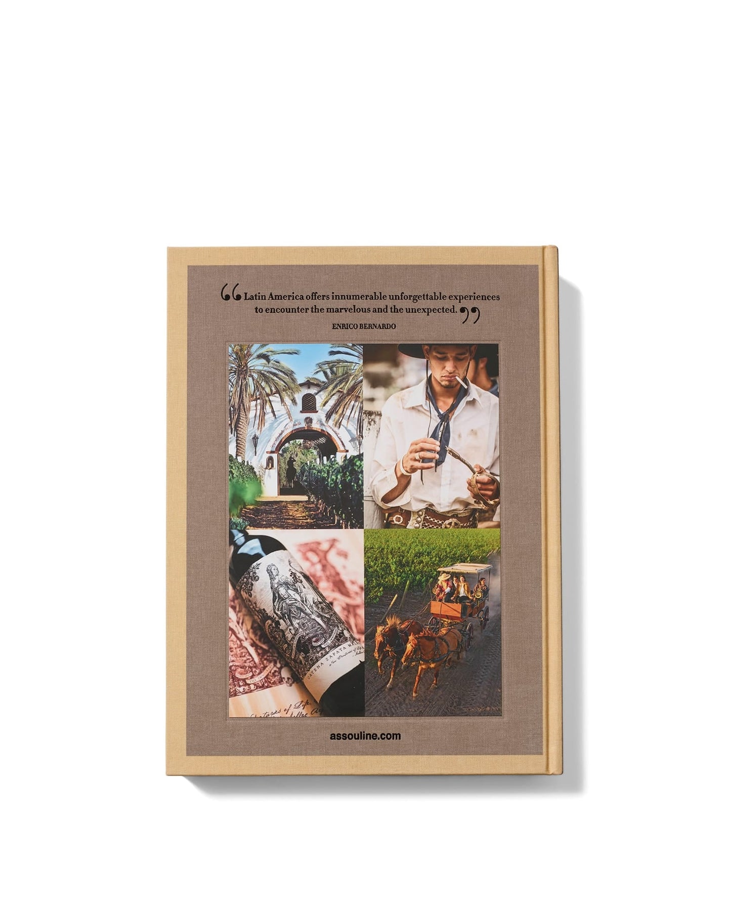 Wine & Travel Latin America - Book