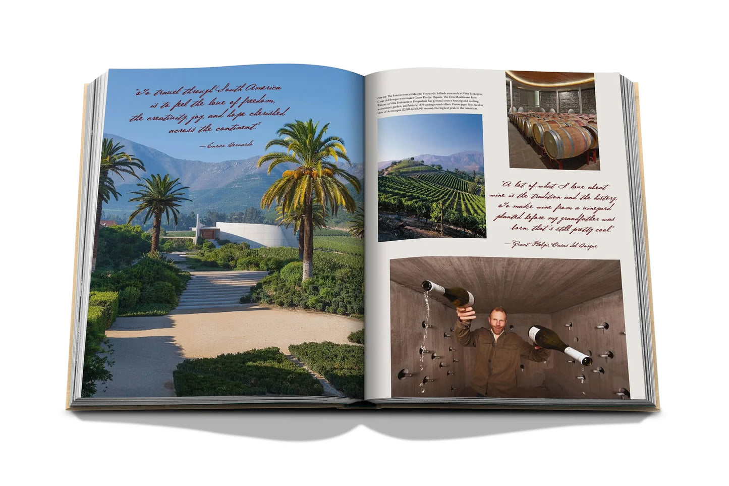Wine & Travel Latin America - Book