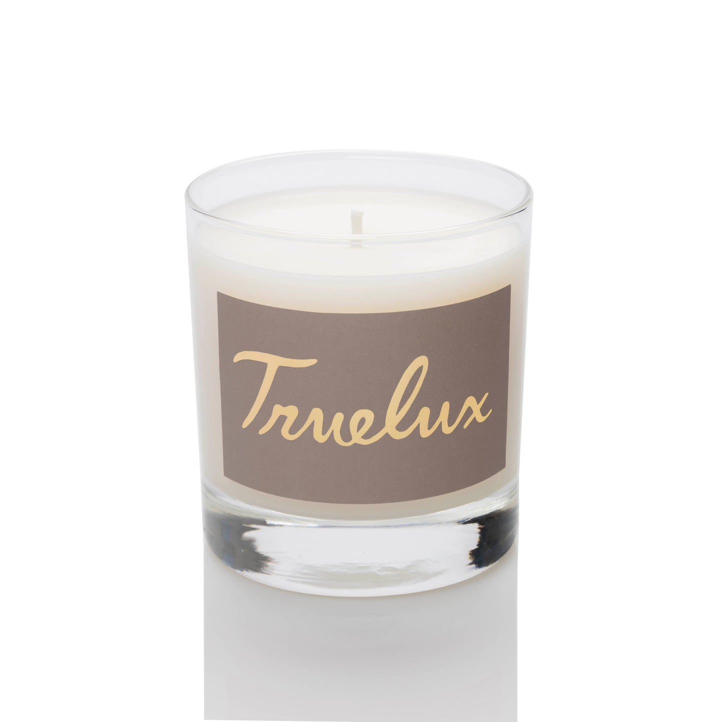 Canyon Soy Lotion Candle (Sage + Cactus Musk)