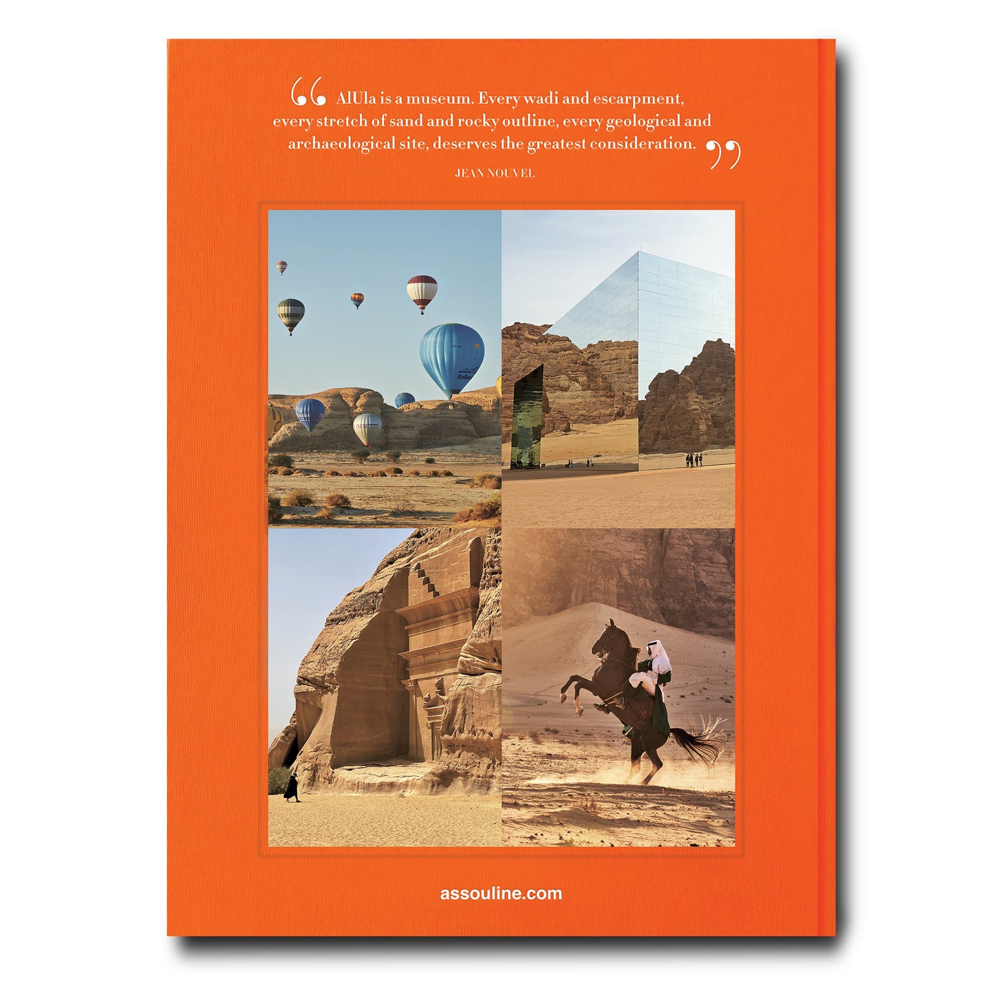 Alula Ever - Book