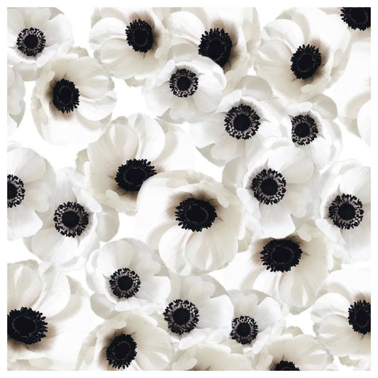 Wind Flower Charger - 24 Paper Placemats