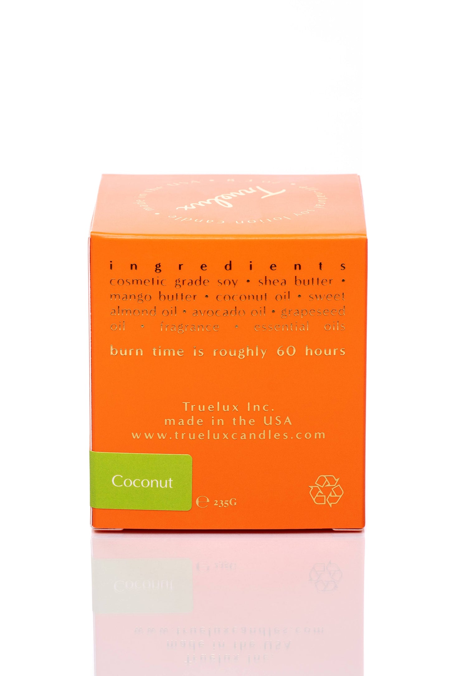 Coconut Soy Lotion Candle (Coconut Beach + Santal)