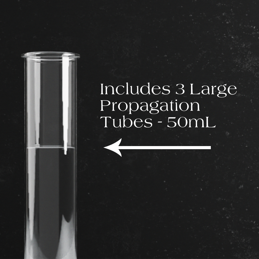 5-Tube Plant Propagation Station | Quintuple Collection