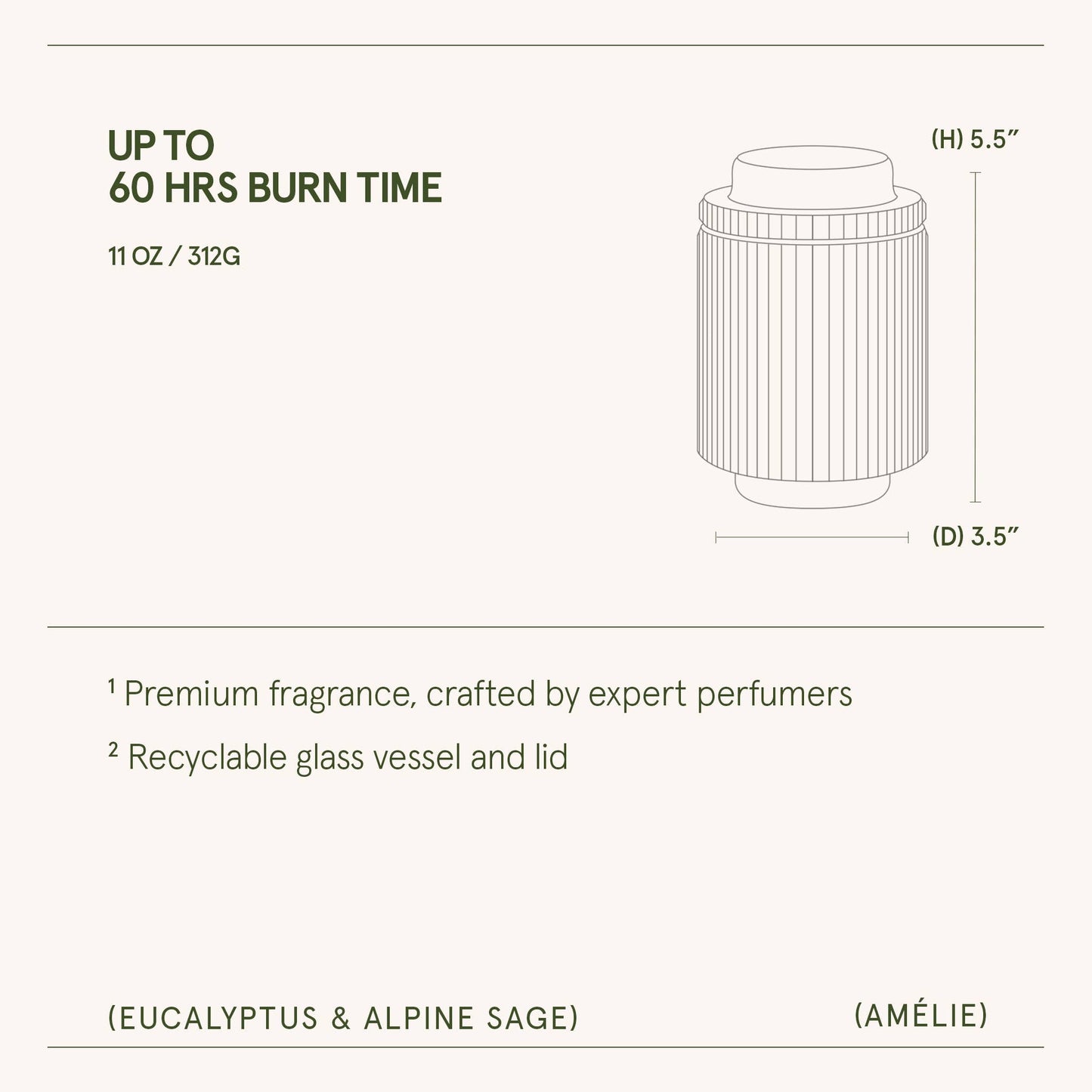 Scented Candle - Eucalyptus & Alpine Sage - 11oz | LJM