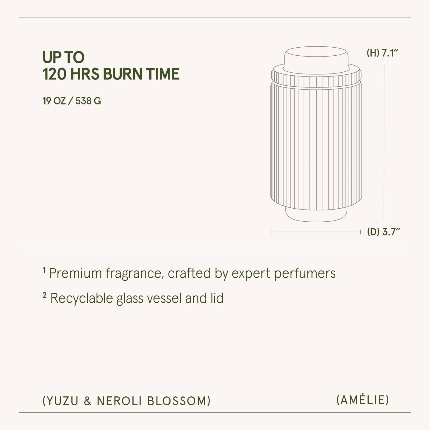 Scented Candle - Yuzu & Neroli Blossom - 19oz | LJM