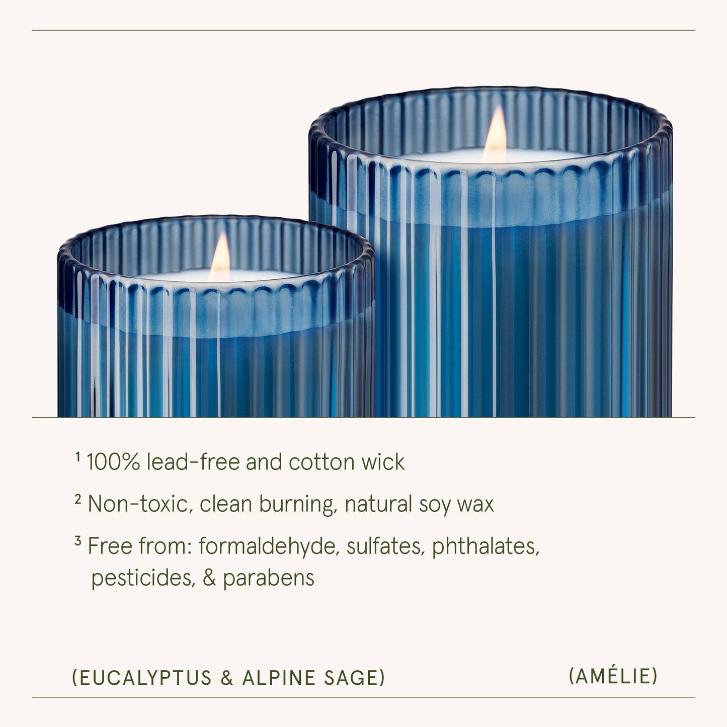 Scented Candle - Eucalyptus & Alpine Sage - 19oz | LJM