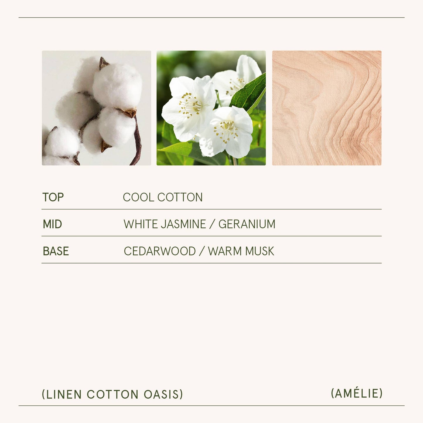 Scented Candle - Linen Cotton Oasis - 19oz | La Jolie Muse