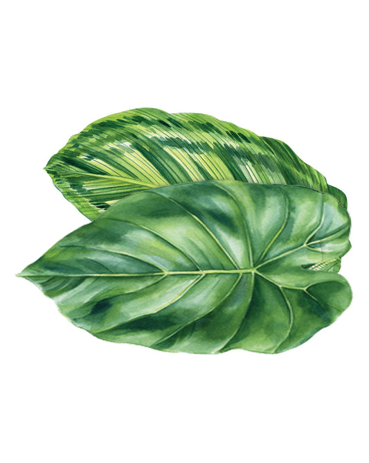Foliage Spill-Proof Placemats (set of 6)