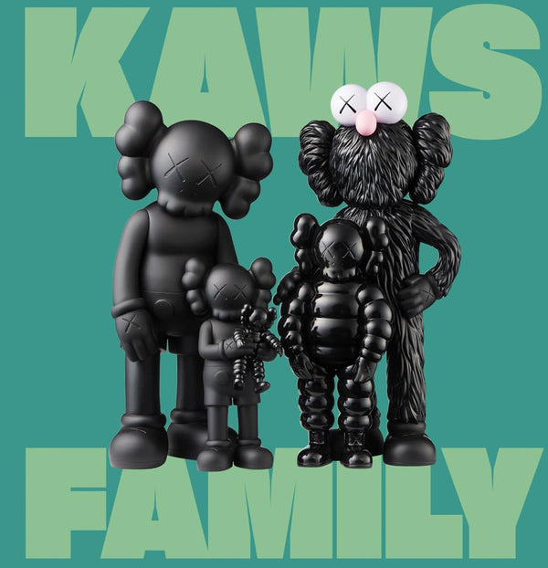 Kaws Family - Book