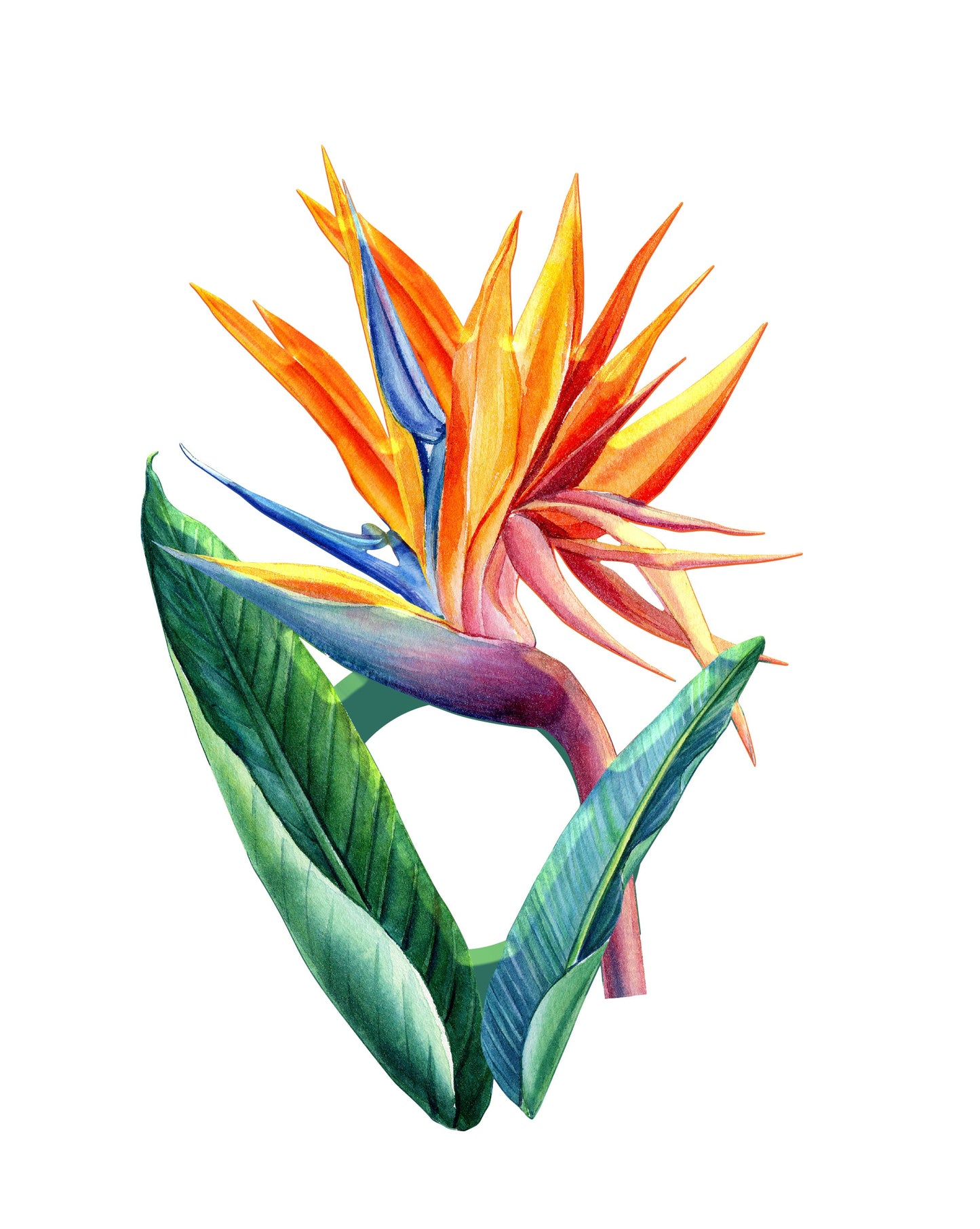 Bird of Paradise Acrylic Napkin Rings (set of 6)