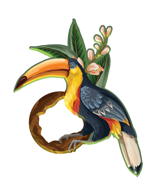 Tucan Acrylic Napkin Rings (set of 6)