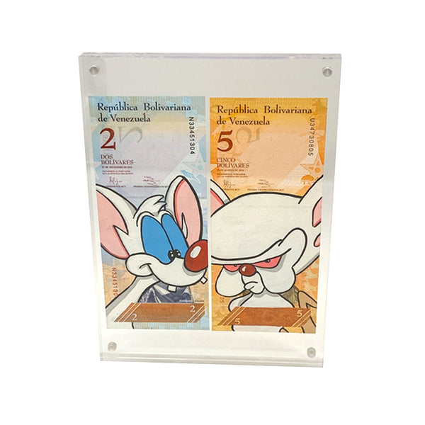 Pinky & The Brain - Currency Art