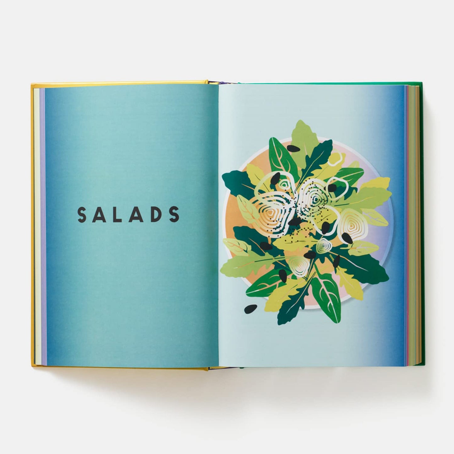 Vegan Cookbook: The Essential Guide - Book