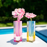Rainbow Acrylic - Flower Vase