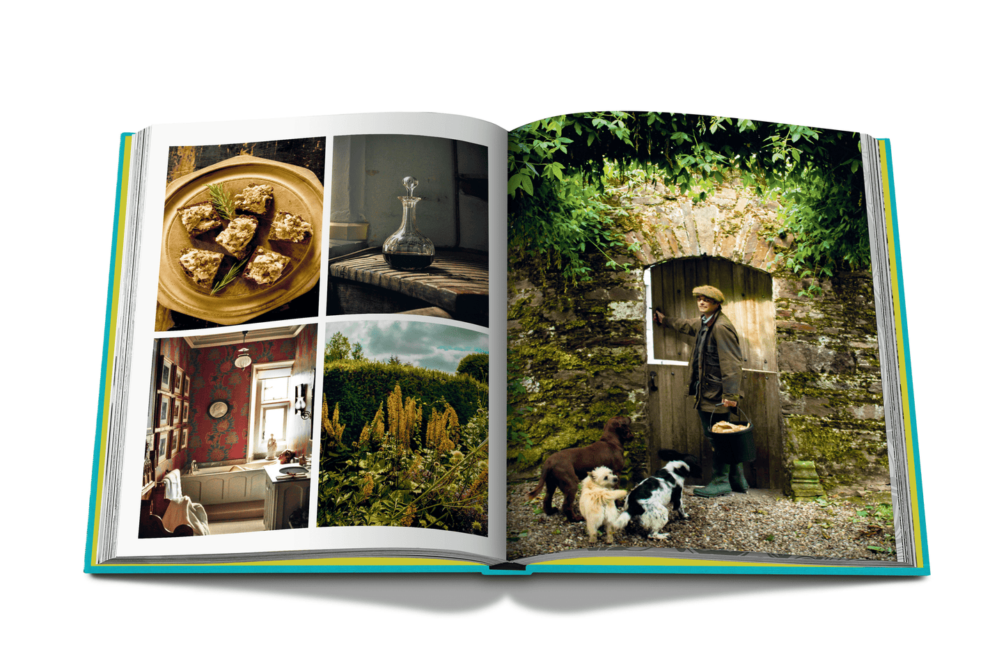 Chic Stays - Book