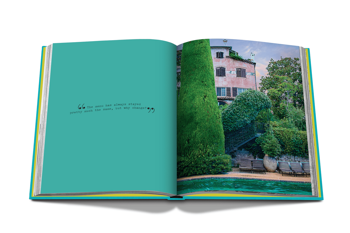 Chic Stays - Book