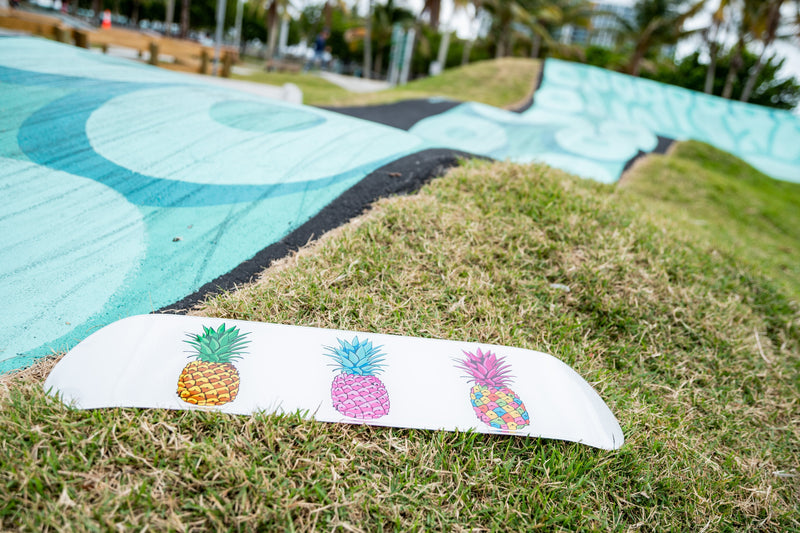 Retro Pinaple Individual - Acrylic Skate Wall Art