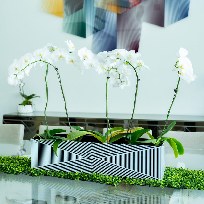 Large Acrylic Multi-Orchid Planter