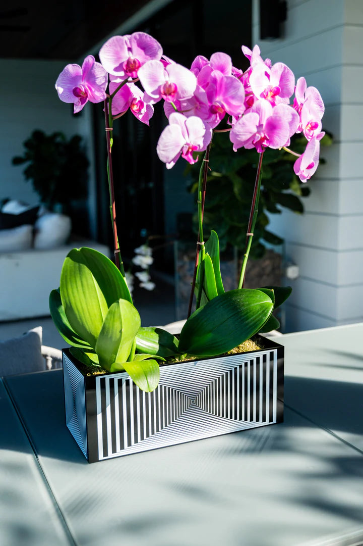Medium Acrylic Multi-Orchid Planter