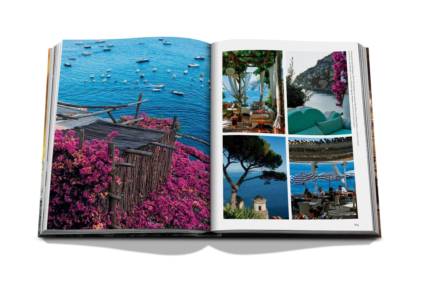 Italian Chic - Book