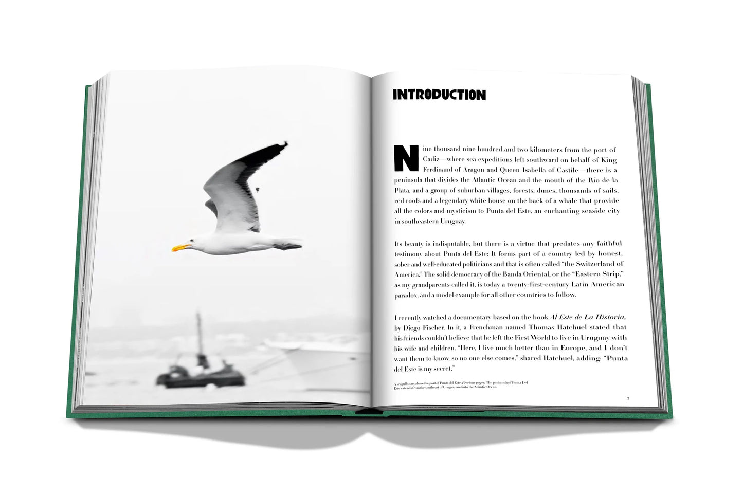 Punta Del Este - Book