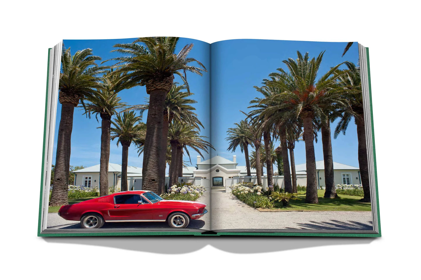 Punta Del Este - Book